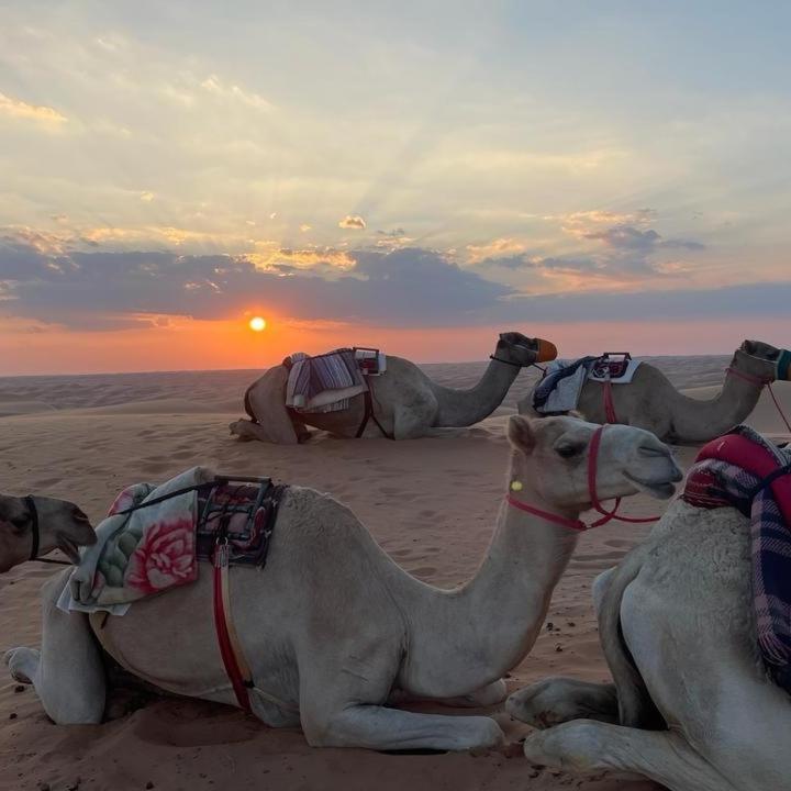 Oman Desert Private Camp Shahiq ภายนอก รูปภาพ