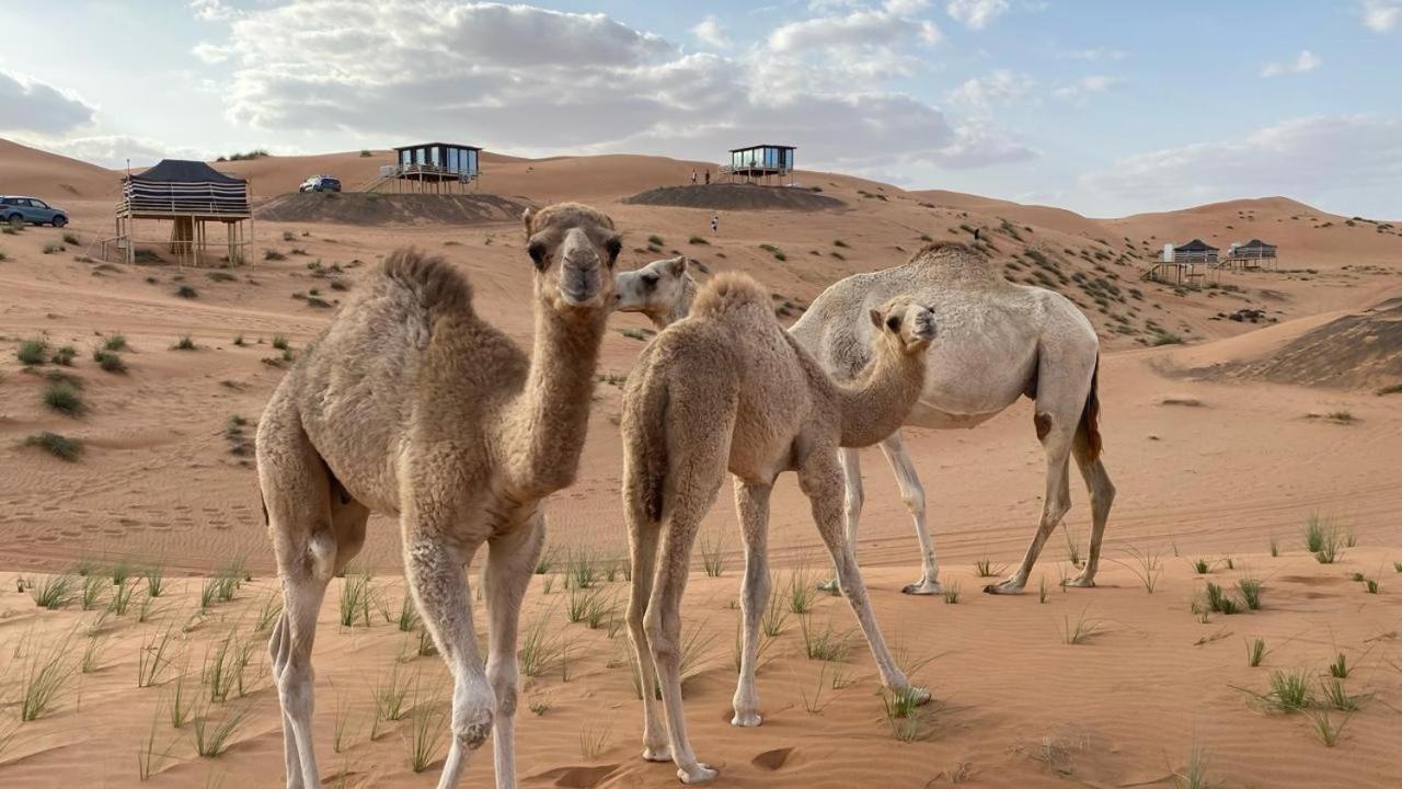 Oman Desert Private Camp Shahiq ภายนอก รูปภาพ