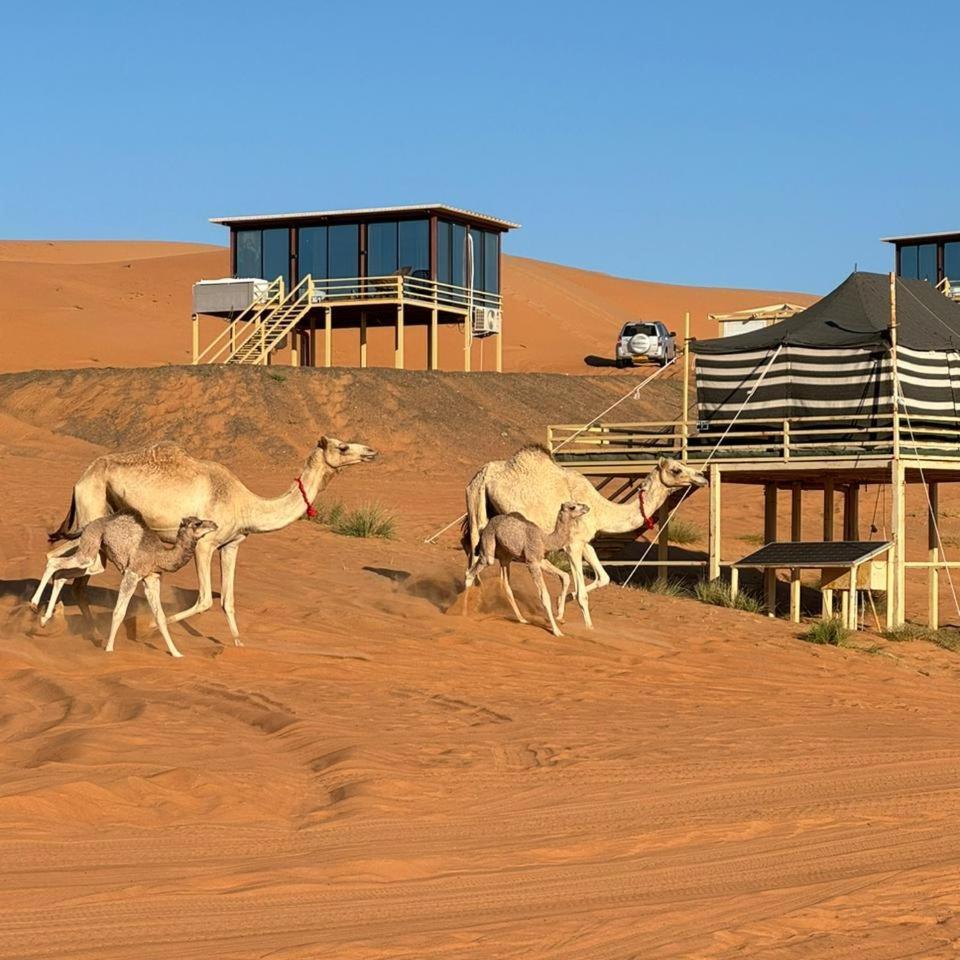 Oman Desert Private Camp Shahiq ภายนอก รูปภาพ
